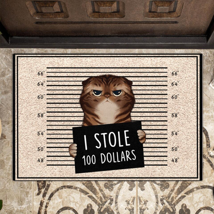 Personalized Bad Cat Doormat - Up to 2 Cats - Gift Idea For Cat Lover - Yes, We're Aware Of How Obnoxious