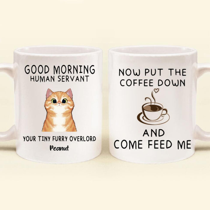 Personalized Human Servant Cat Coffee Mug - Up to 6 Cats/Dogs - Best Gift For Cat Lover - Now Put The Coffee Down And Come Feed Us