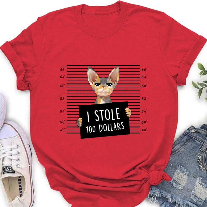 Personalized Bad Cat Shirt/Pullover Hoodie - Up to 2 Cats - Gift Idea For Cat Lover - Yes, We're Aware Of How Obnoxious