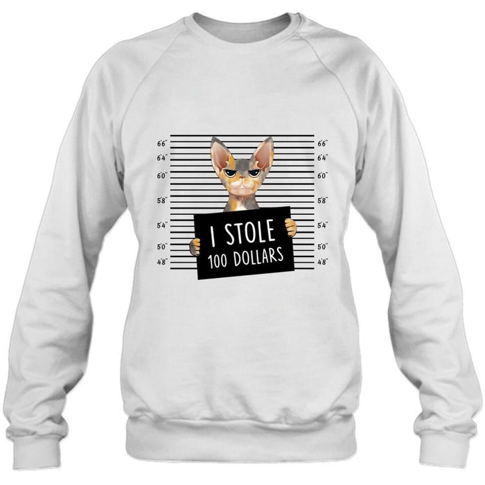 Personalized Bad Cat Shirt/Pullover Hoodie - Up to 2 Cats - Gift Idea For Cat Lover - Yes, We're Aware Of How Obnoxious