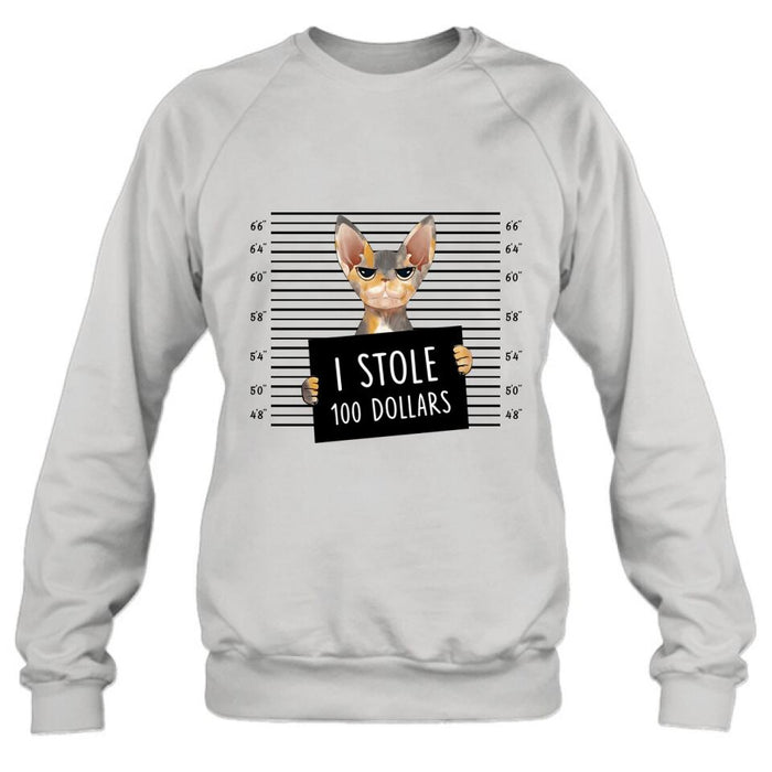 Personalized Bad Cat Shirt/Pullover Hoodie - Up to 2 Cats - Gift Idea For Cat Lover - Yes, We're Aware Of How Obnoxious