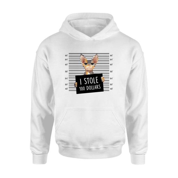 Personalized Bad Cat Shirt/Pullover Hoodie - Up to 2 Cats - Gift Idea For Cat Lover - Yes, We're Aware Of How Obnoxious
