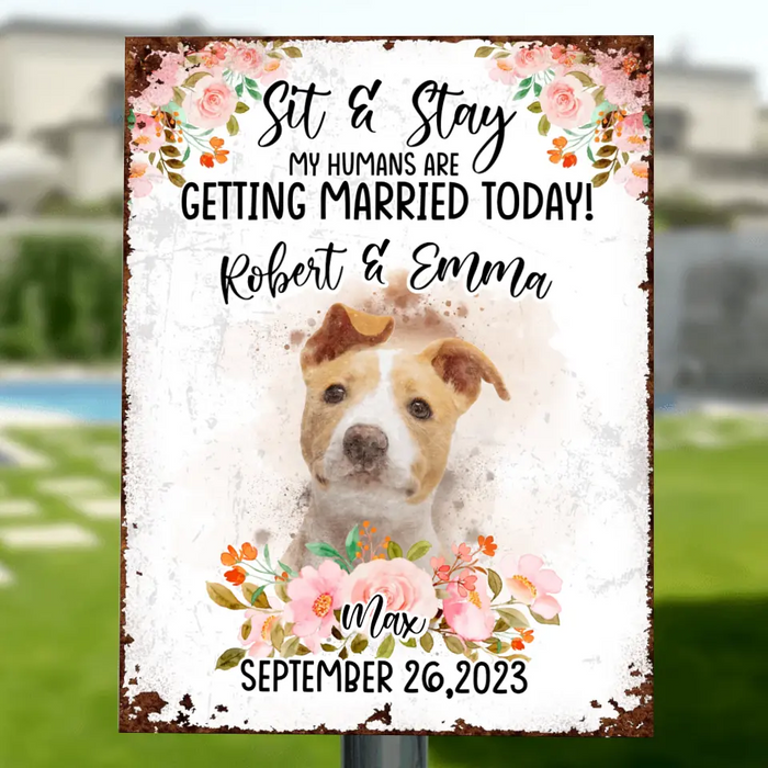 Personalized Dog Wedding Metal Sign - Upload Photo - Wedding Gift Idea For Couple/Dog Lover - Sit & Stay My Humans Are Getting Married Today