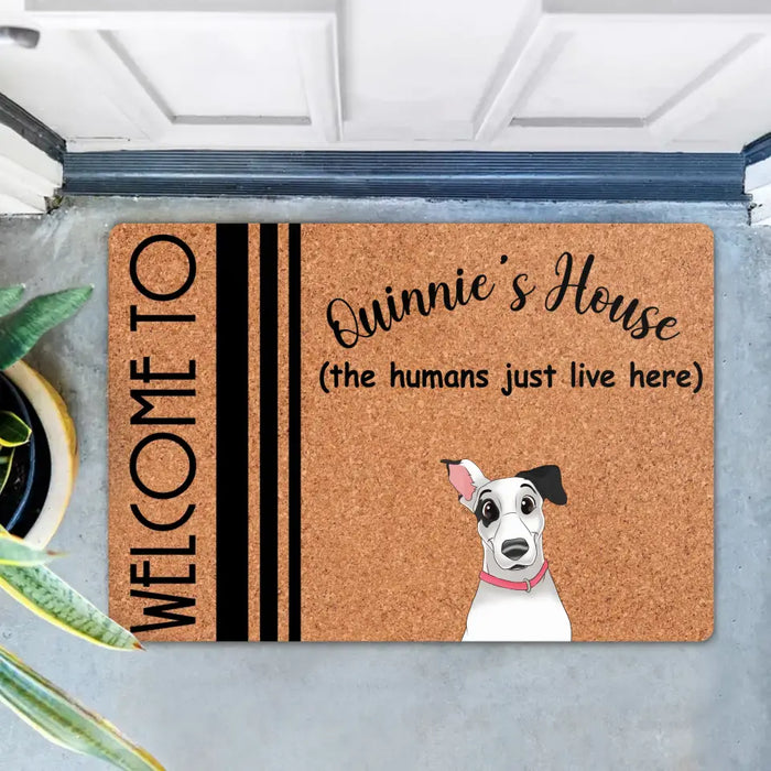 Personalize Pet Doormat - Up to 6 Dogs/Cats  - Mother's Day Gift Idea for Dog/Cat Lovers