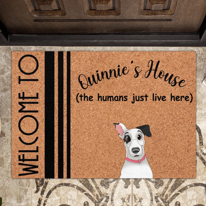 Personalize Pet Doormat - Up to 6 Dogs/Cats - Mother's Day Gift Idea for Dog/Cat Lovers