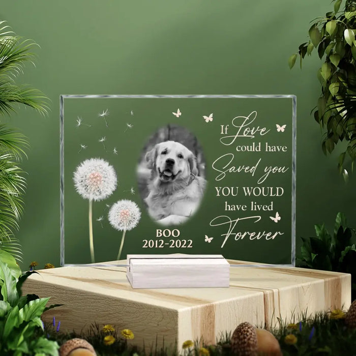 Personalized Memorial Pet Photo Acrylic Plaque - Memorial Gift For Pet Owners - If Love Could Have Saved You You Would Have Lived Forever