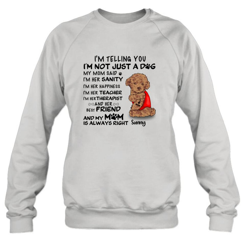 Personalized Dog Shirt - Best Gift For Dog Lovers - I'm Not Just A Dog