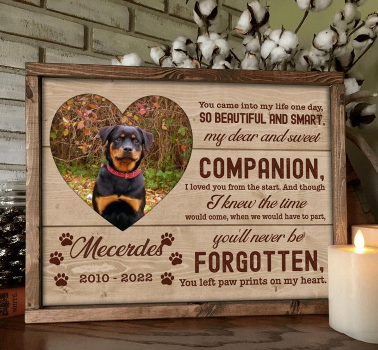 Personalized Custom Photo Pet Loss Poster - Memorial Gift Idea For Pet Lover - Paw Prints On My Heart