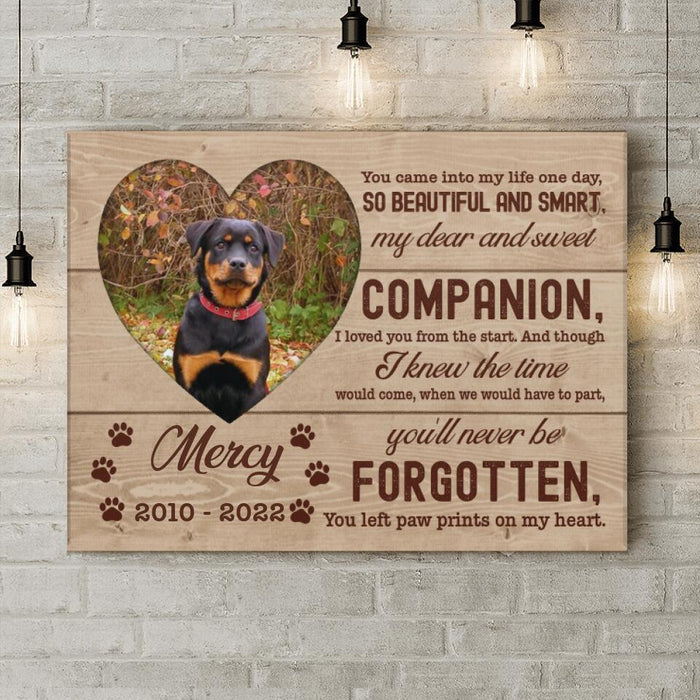 Personalized Custom Photo Pet Loss Canvas - Memorial Gift Idea For Pet Lover - Paw Prints On My Heart