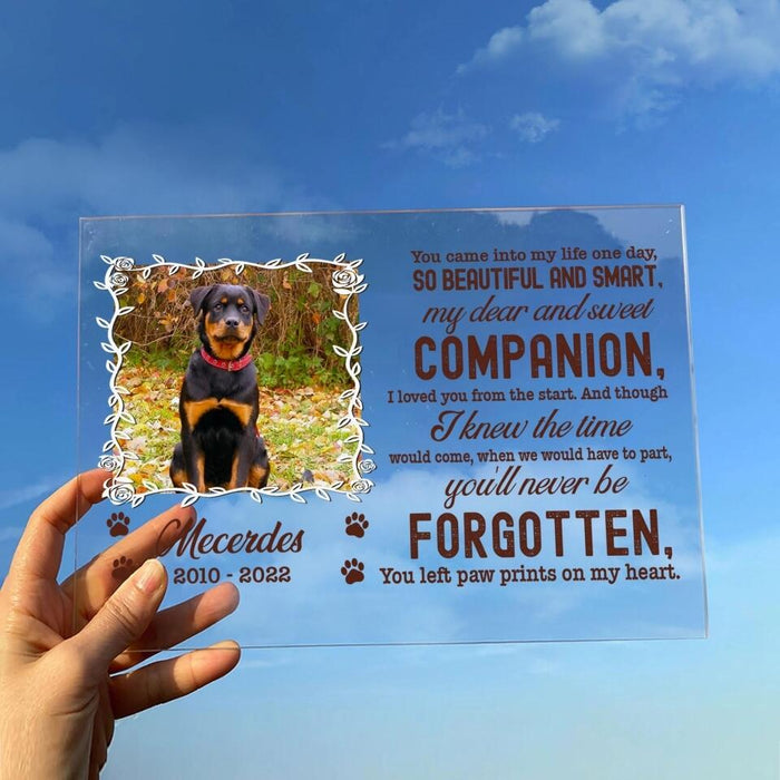 Personalized Custom Photo Pet Loss Acrylic Plaque -  Memorial Gift Idea For Pet Lover - Paw Prints On My Heart