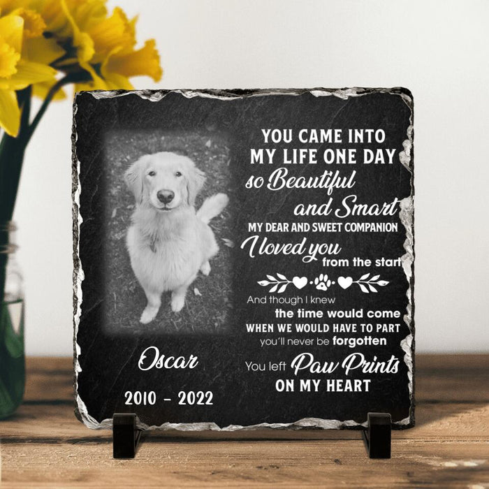 Custom Personalized Pet Photo Square Lithograph - Memorial Gift Idea For Pet Lover - You Left Paw Prints On My Heart