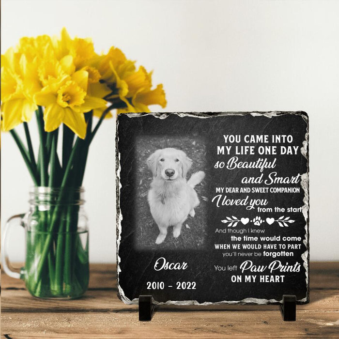 Custom Personalized Pet Photo Square Lithograph - Memorial Gift Idea For Pet Lover - You Left Paw Prints On My Heart