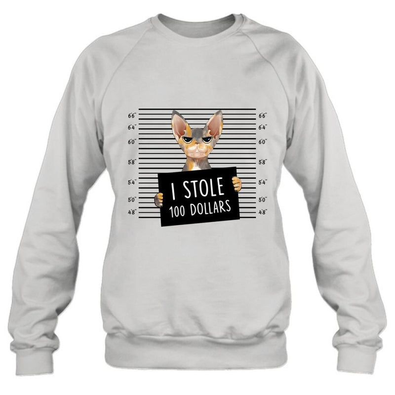 Personalized Bad Cat Shirt/Pullover Hoodie - Up to 2 Cats - Gift Idea For Cat Lover - Yes, We're Aware Of How Obnoxious
