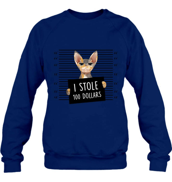 Custom Personalized Bad Cat Shirt/ Pullover Hoodie - Upto 2 Cats - Gift Idea For Cat Lover - Yes, We're Aware Of How Obnoxious