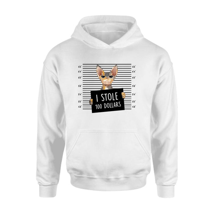 Custom Personalized Bad Cat Shirt/ Pullover Hoodie - Upto 2 Cats - Gift Idea For Cat Lover - Yes, We're Aware Of How Obnoxious