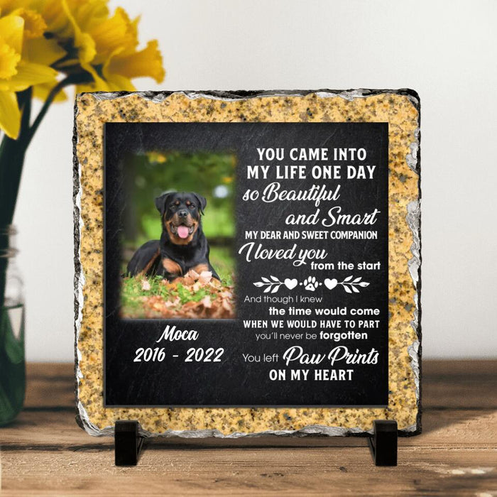 Custom Personalized Memorial Dog Photo Square Lithograph - Memorial Gift Idea For Dog Owners - You Came Into My Life One Day