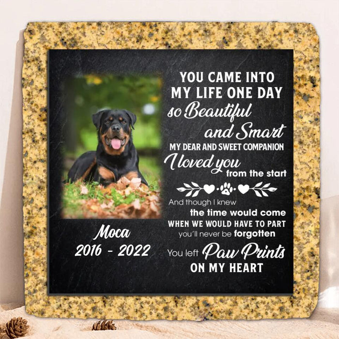 Custom Personalized Memorial Dog Photo Square Lithograph - Memorial Gift Idea For Dog Owners - You Came Into My Life One Day