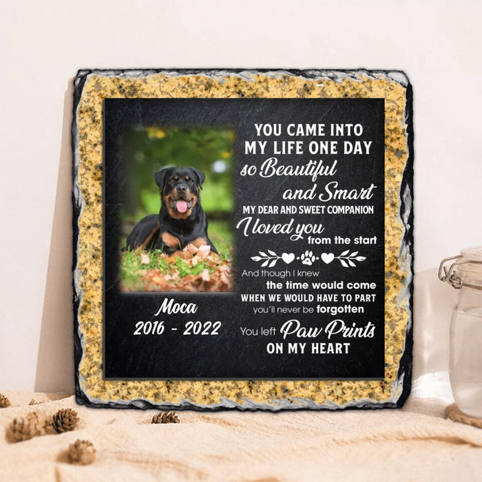 Custom Personalized Memorial Dog Photo Square Lithograph - Memorial Gift Idea For Dog Owners - You Came Into My Life One Day