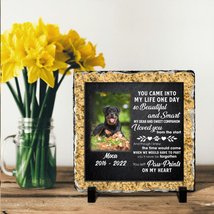 Custom Personalized Memorial Dog Photo Square Lithograph - Memorial Gift Idea For Dog Owners - You Came Into My Life One Day