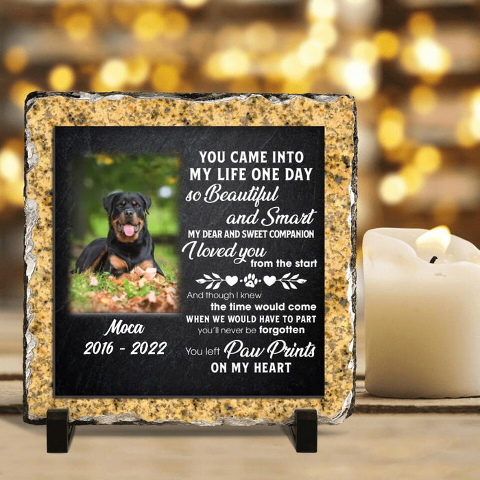 Custom Personalized Memorial Dog Photo Square Lithograph - Memorial Gift Idea For Dog Owners - You Came Into My Life One Day