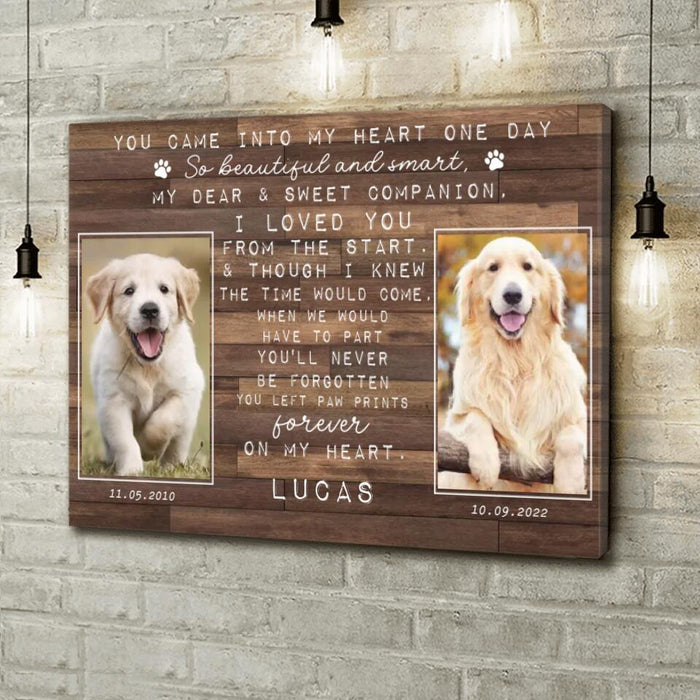 Custom Personalized Memorial Pet Canvas - Upload Photos - Memorial Gift Idea - You Came Into My Heart One Day