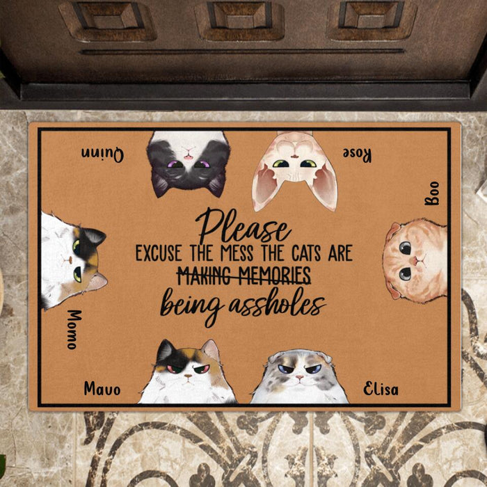 Custom Personalized Cat Doormat - Upto 6 Cats - Gift Idea For Cat Lover - Please Excuse The Mess