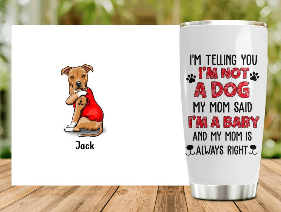 Custom Personalized Dog/ Cat Tumbler - Upto 4 Pets - Birthday, Loving Gift For Cat & Dog Lover, Pet Owner, Pet Mom, Pet Dad - My Mom Said I'm A Baby