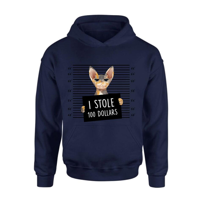 Custom Personalized Bad Cat Shirt/ Pullover Hoodie - Upto 2 Cats - Gift Idea For Cat Lover - Yes, We're Aware Of How Obnoxious