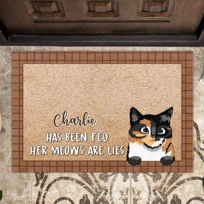 Custom Personalized Cat Doormat - Gift Idea For Cat Lovers - Her Meows Are Lies