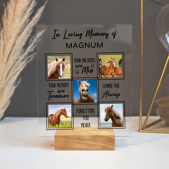 Custom Personalized Memorial Acrylic Plaque - Upload Horse Photo - Memorial Gift Idea - We Miss Your Memory