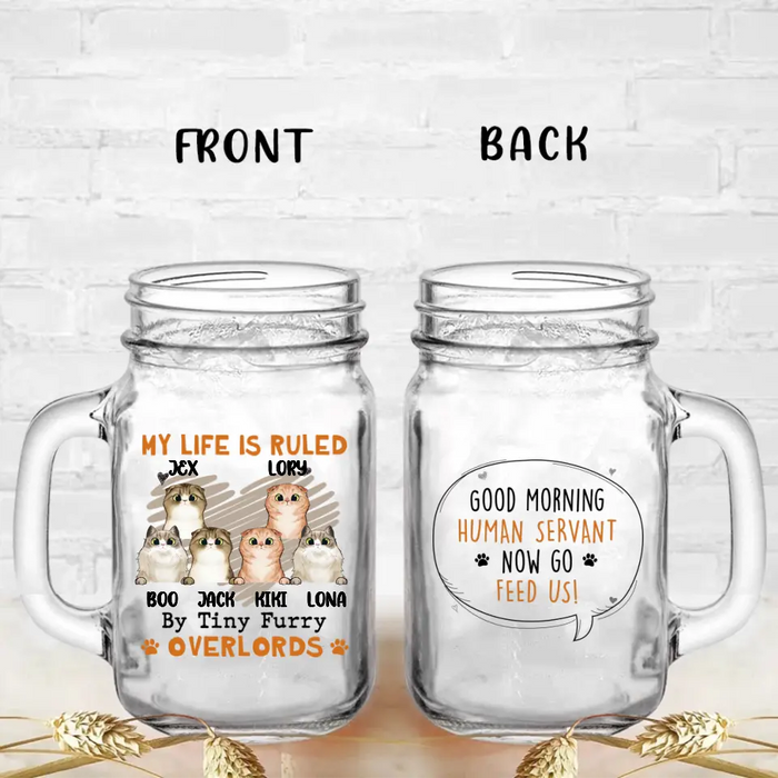 Personalized Cats Mason Jug - Upto 3 Cats - Best Gift Idea For Cat Lovers - Good Morning Human Servant Now Go Feed Us!