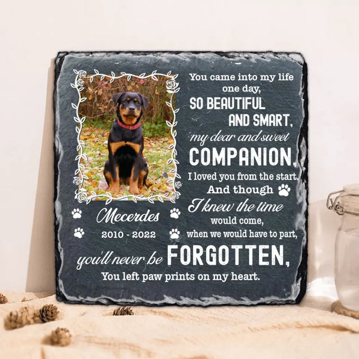 Personalized Custom Photo Pet Loss Square Lithograph - Memorial Gift Idea For Pet Lover - Paw Prints On My Heart