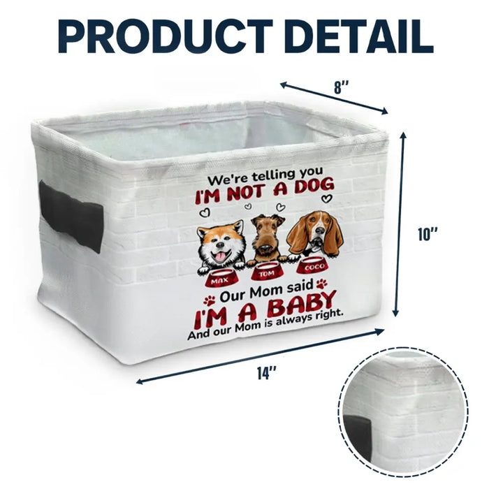 Custom Personalized I'm Not A Cat Storage Box - Upto 10 Dogs/ Cats - Gift Idea for Pet Lovers - My Mom Said I'm A Baby