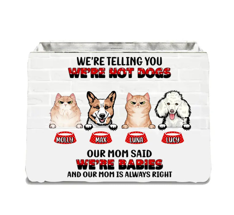 Custom Personalized Pets Storage Box - Upto 4 Dogs/ Cats - Gift Idea for Pet Lovers - Our Mom Said Were Babies