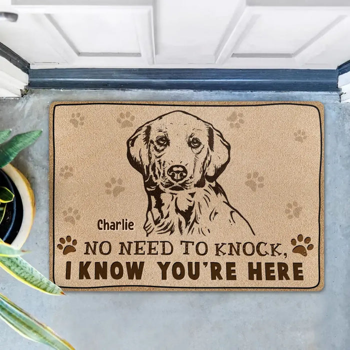 Custom Personalized Welcome Doormat - Upload Pet's Photos - Gift Idea For Dog Lover - No Need To Knock I Know You're Here