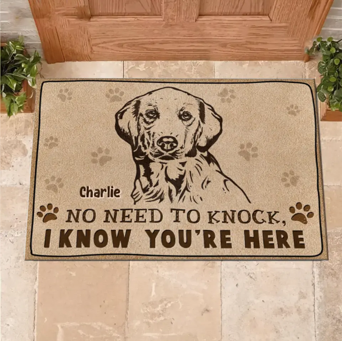 Custom Personalized Welcome Doormat - Upload Pet's Photos - Gift Idea For Dog Lover - No Need To Knock I Know You're Here