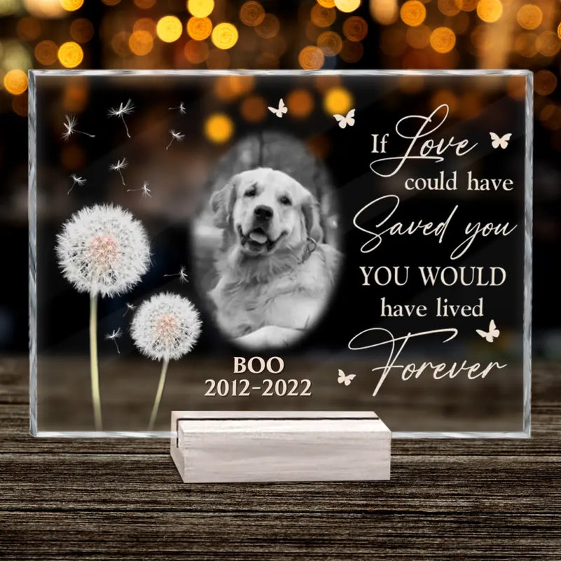 Personalized Memorial Pet Photo Acrylic Plaque - Memorial Gift For Pet Owners - If Love Could Have Saved You You Would Have Lived Forever
