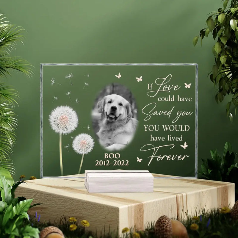 Personalized Memorial Pet Photo Acrylic Plaque - Memorial Gift For Pet Owners - If Love Could Have Saved You You Would Have Lived Forever