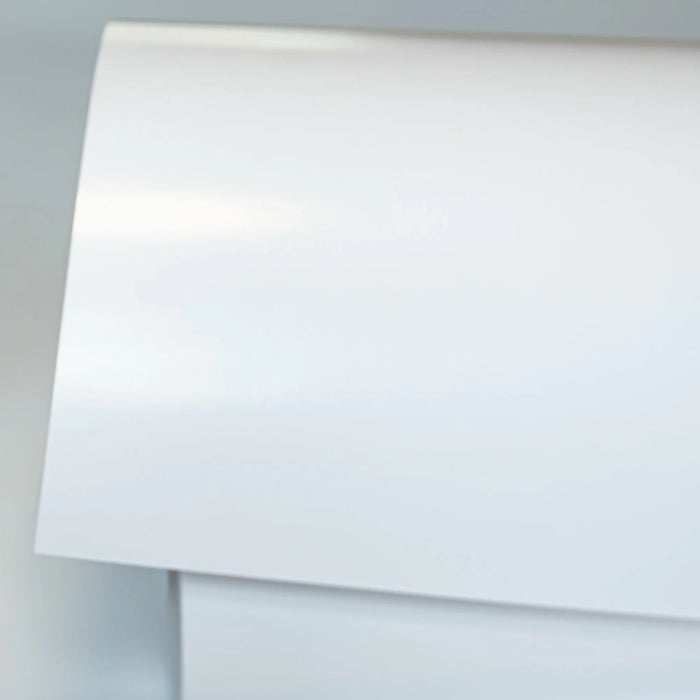 Personalized Lion Family Poster - Custom Names - “Family Where Life Begins & Never Ends” - Gift for Mom, Dad & Kids